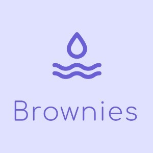 Brownies